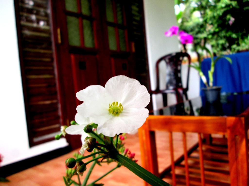 Ranga Villa Hikkaduwa Buitenkant foto