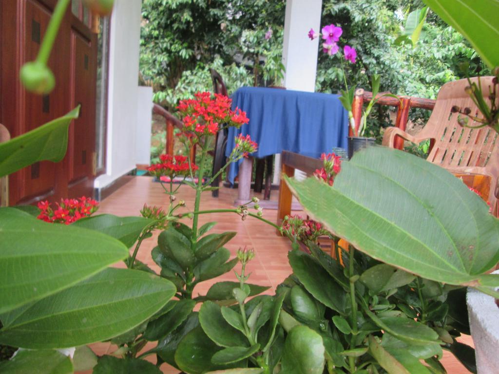 Ranga Villa Hikkaduwa Buitenkant foto