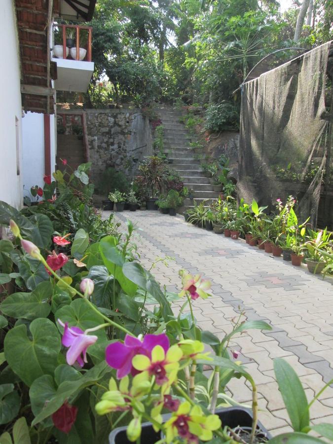 Ranga Villa Hikkaduwa Buitenkant foto
